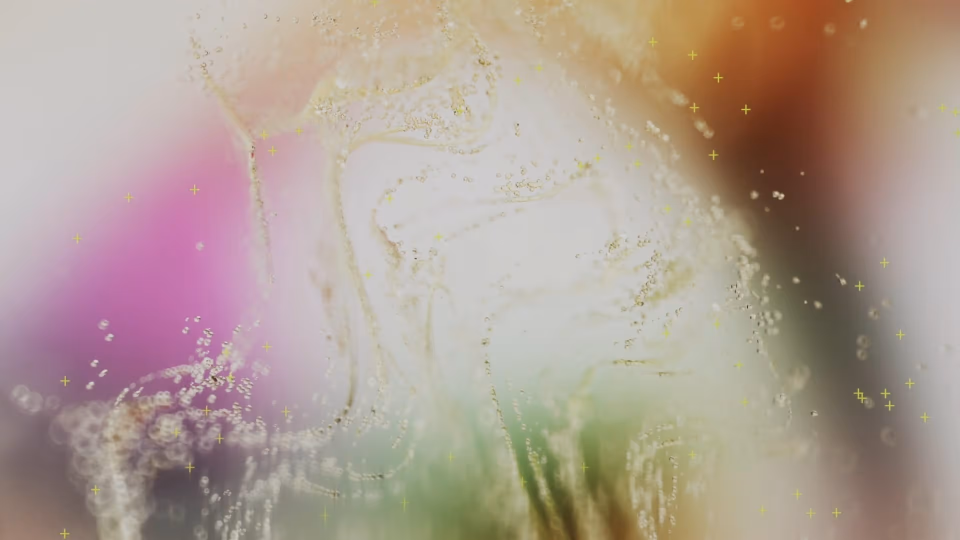 Detailed image of the project