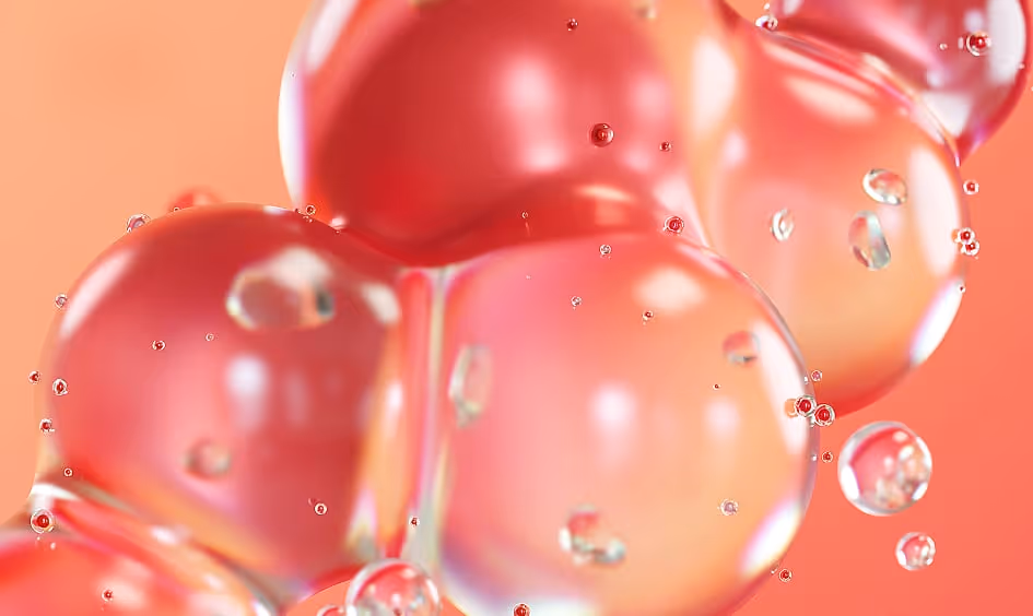 Detailed image of the about page