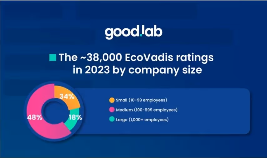 A pie chart showing the size of companies that reported to EcoVadis in 2023.