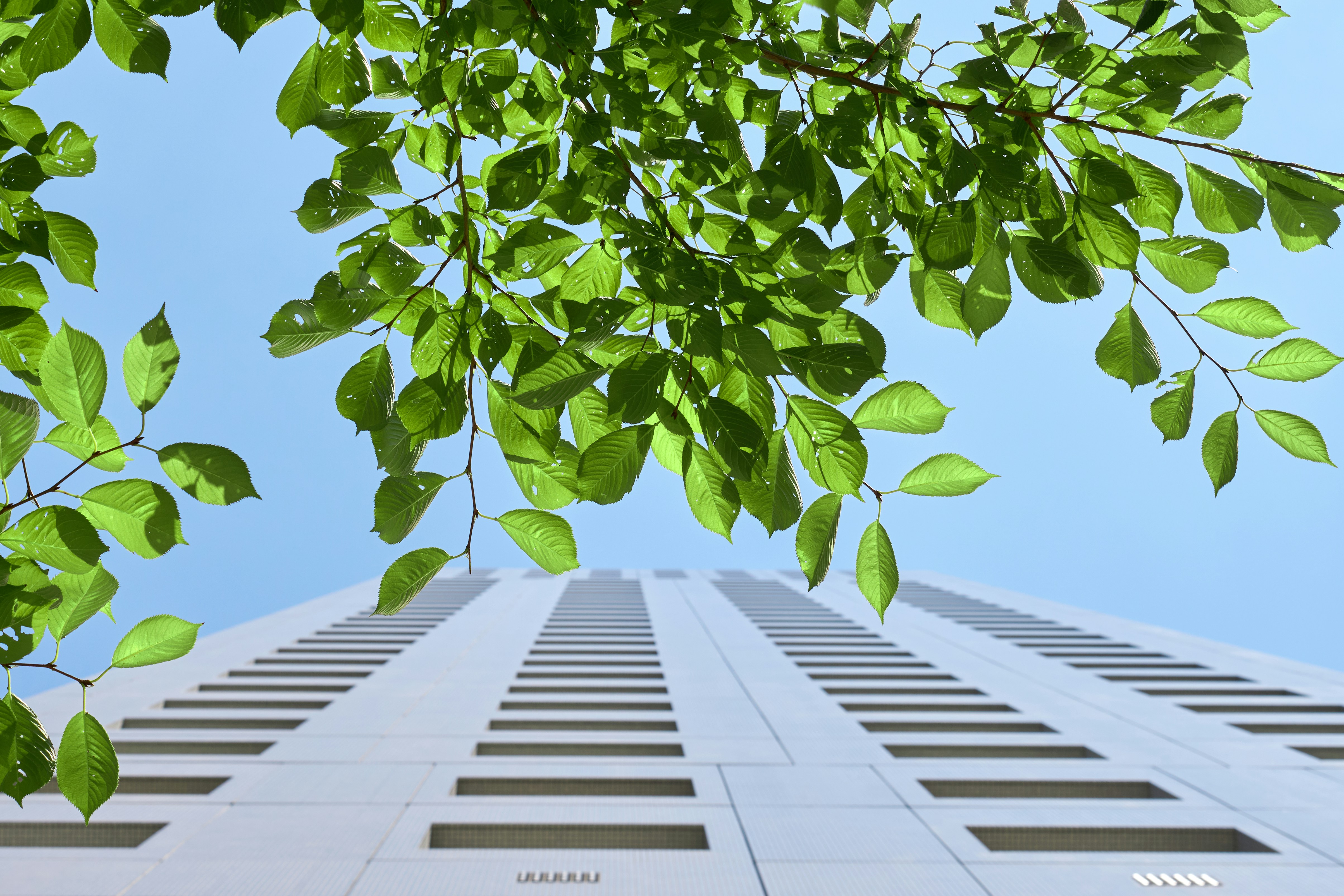 building with trees