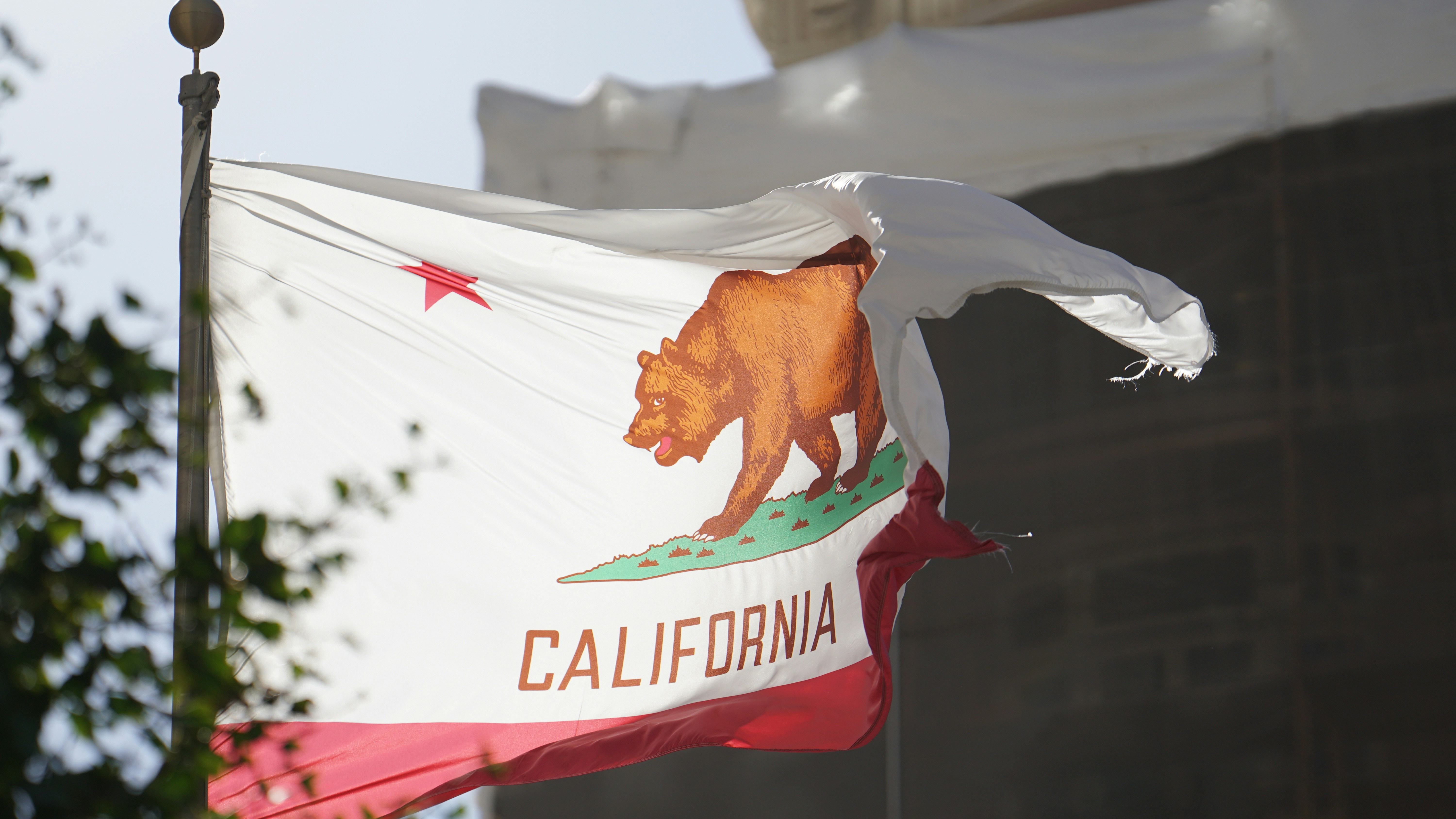 california flag
