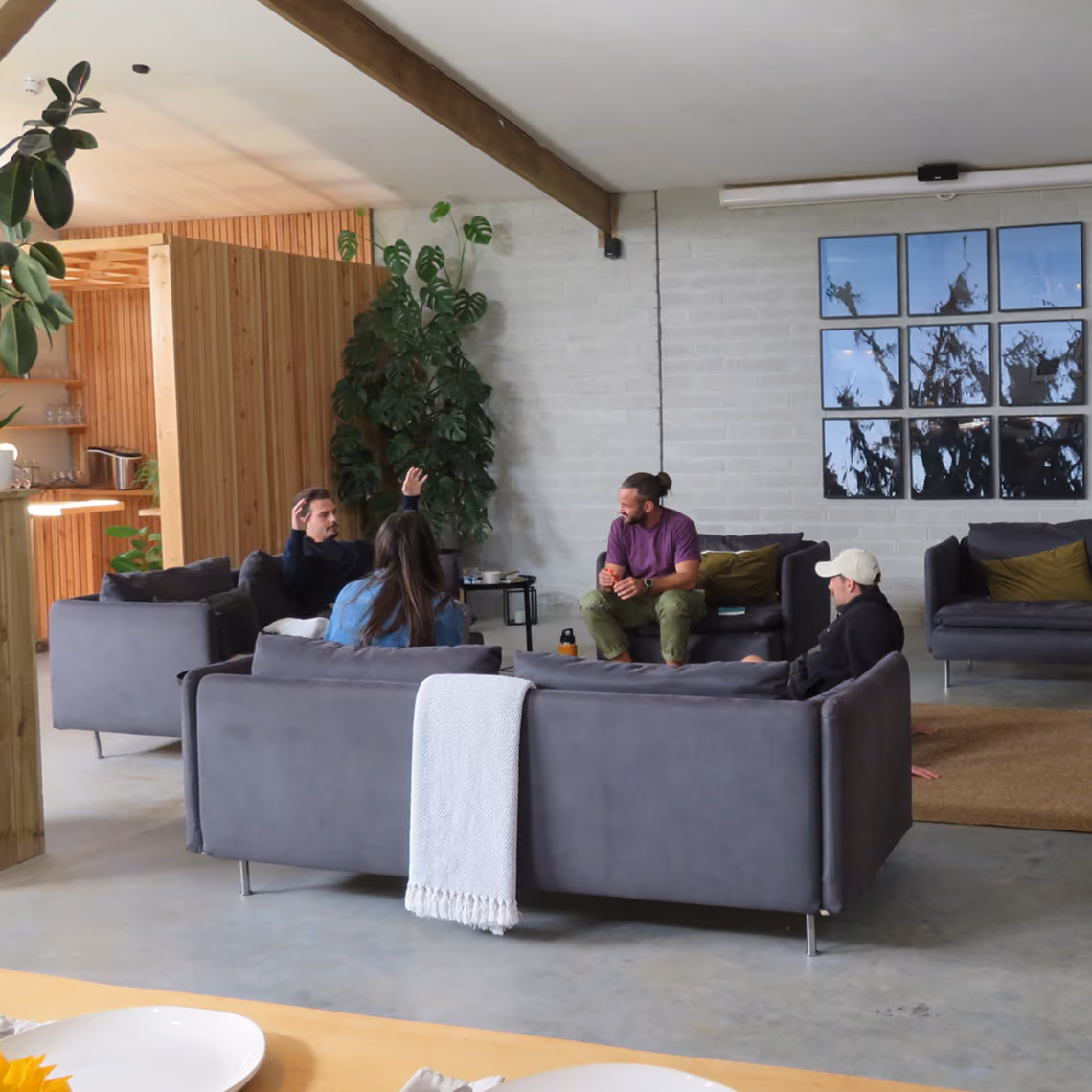 Four people sitting and talking in a modern living room with gray sofas and indoor plants.