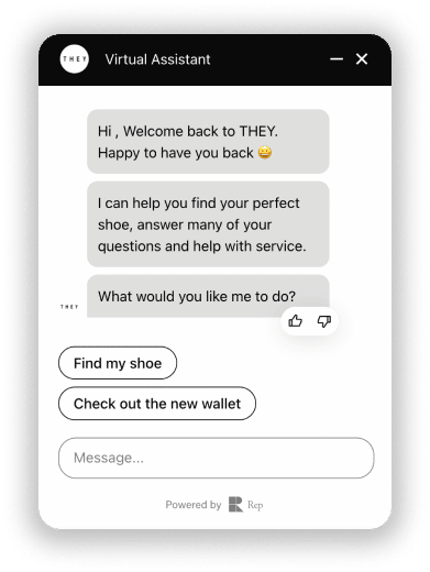 screenshot of ecommerce customer experience assistant