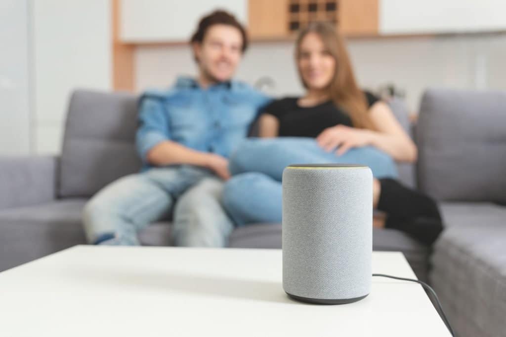 couple-shopping-magento-store-voice-assistant
