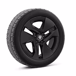 Ein freigestellter Reifen mit 18 Zoll Leichtmetallfelge “Plover schwarz”.