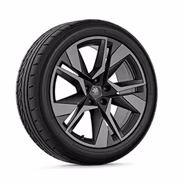 Ein freigestellter Reifen mit 19 Zoll Leichtmetallfelge “Nivalis”.