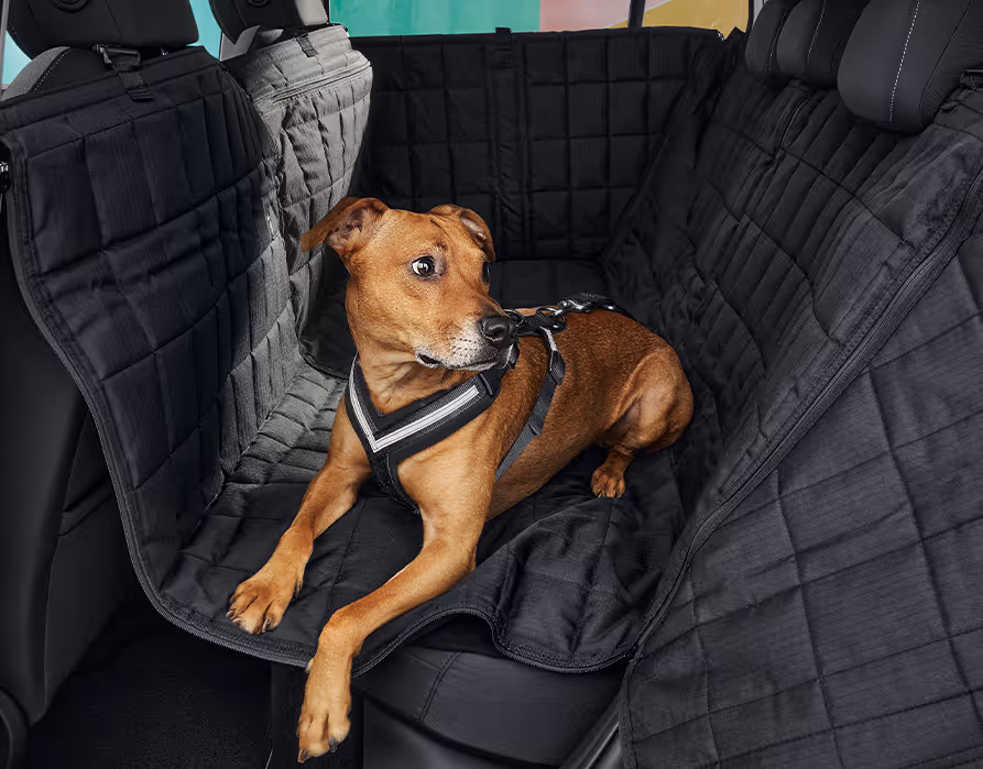 Blick auf die Rücksitzbank des Škoda Epiq, die zum Schutz des Innenraums vollständig mit einer schwarzen, gesteppten Hundeschutzdecke ausgekleidet ist. Auf der Decke liegt ein brauner Hund, der mit einem speziellen Brustgeschirr sicher angeschnallt ist. Die großflächige Decke schirmt neben der Sitzfläche auch die Rückseiten der Vordersitze und die Seitenverkleidungen ab.