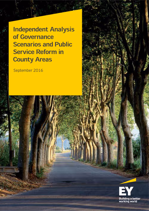 EY: Independent Analysis of Governance Scenarios and Public Service Reform