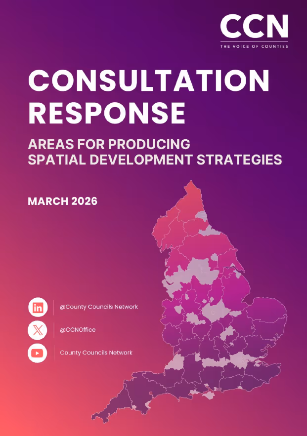 Areas for producing spatial development strategies: consultation response