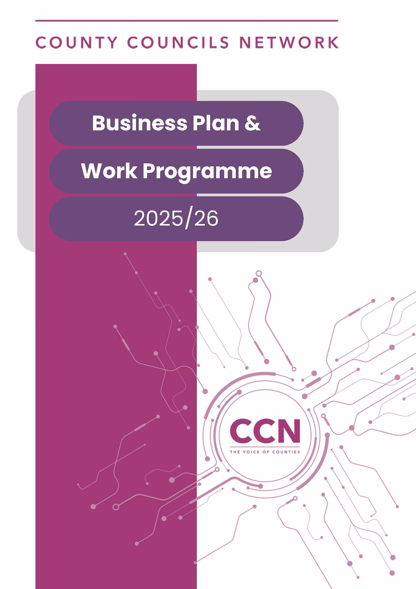 Business Plan and Work Programme 2025-26