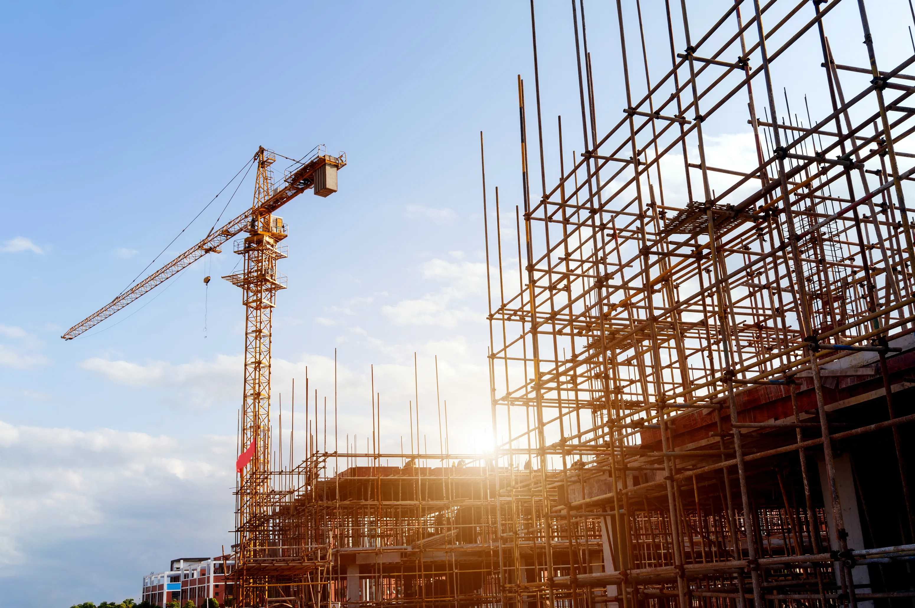 Chancellor's jobs statement: CCN response