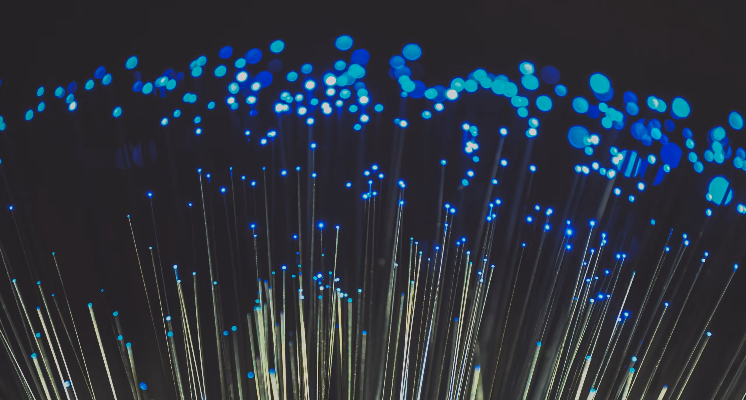 MPs warn that counties could become ‘poor relation’ to cities in gigabit broadband rollout, with just one in five rural properties connected so far