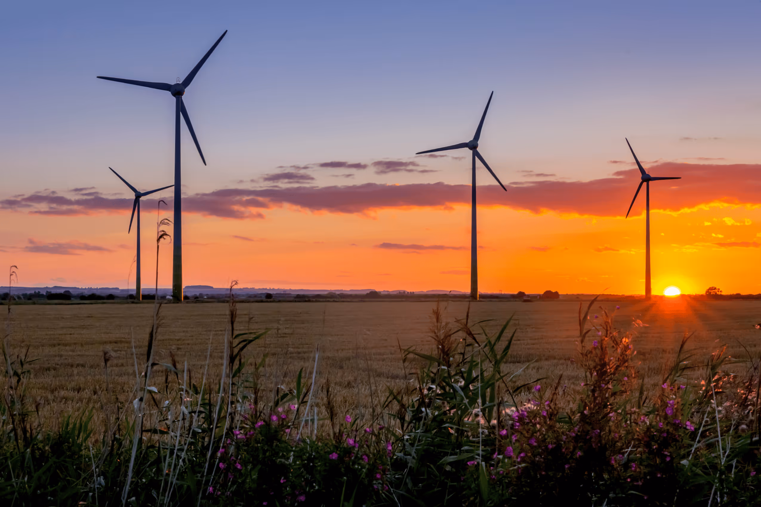 Watch our climate change webinar with EY