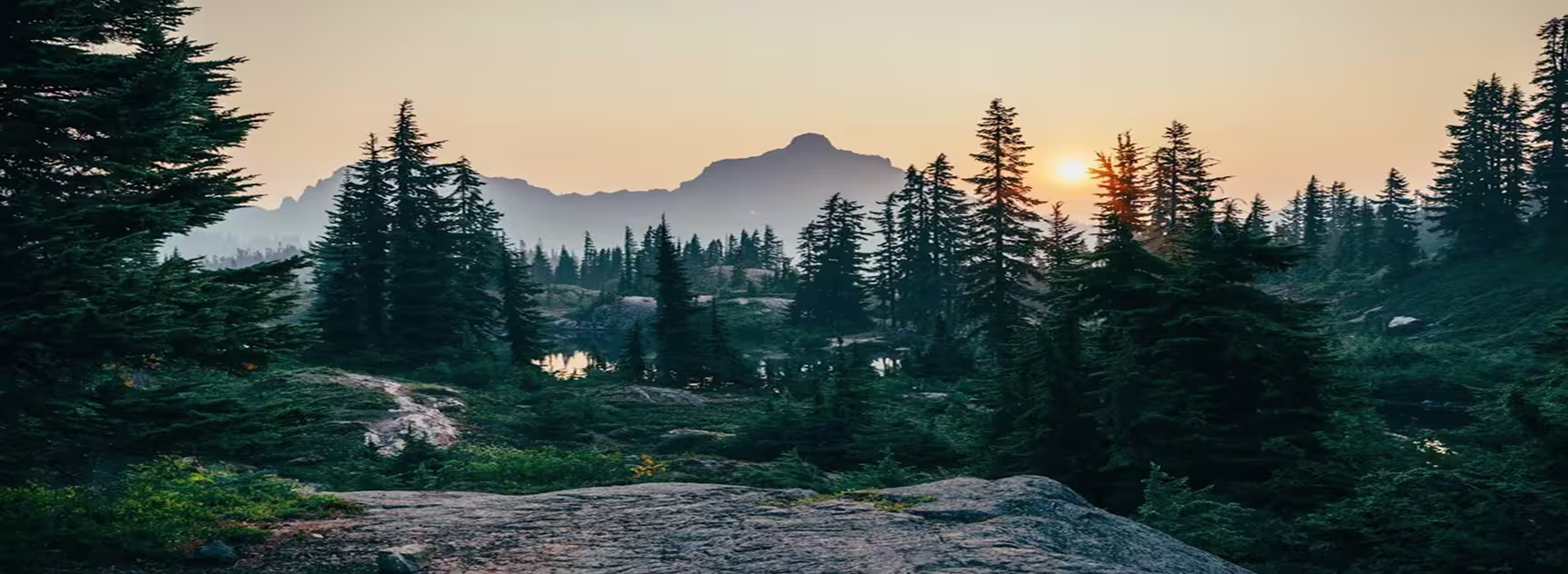 Sunset behind pine trees with rocky foreground and mountain silhouettes in the background.