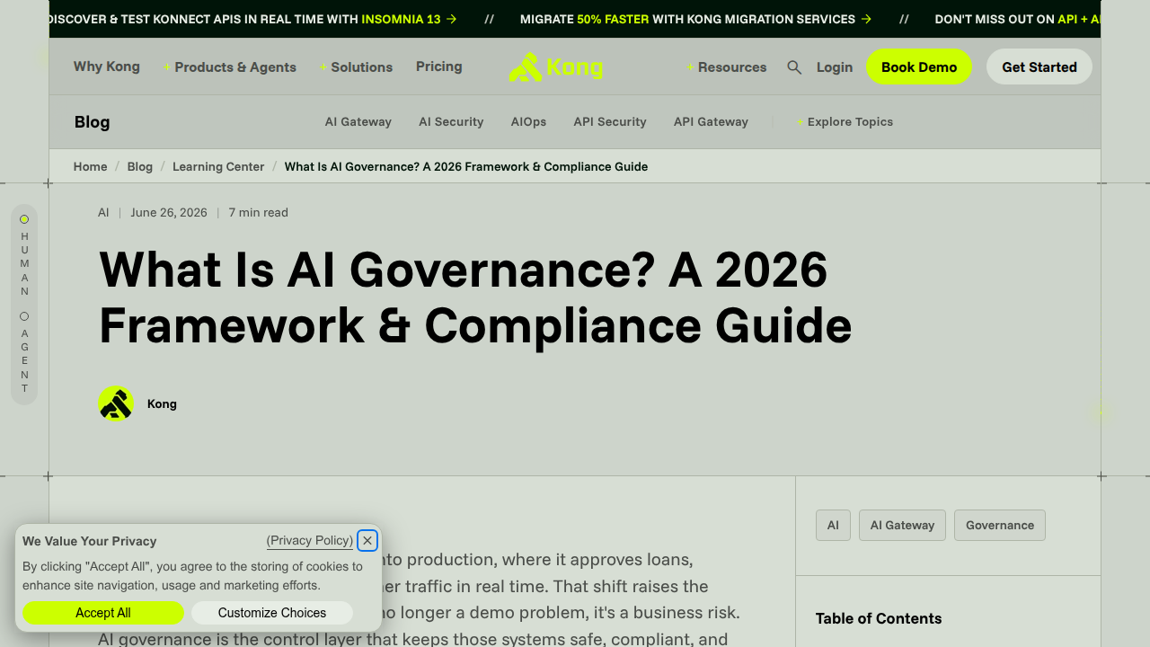 Screenshot of Kong's learning center guide on what AI governance entails.