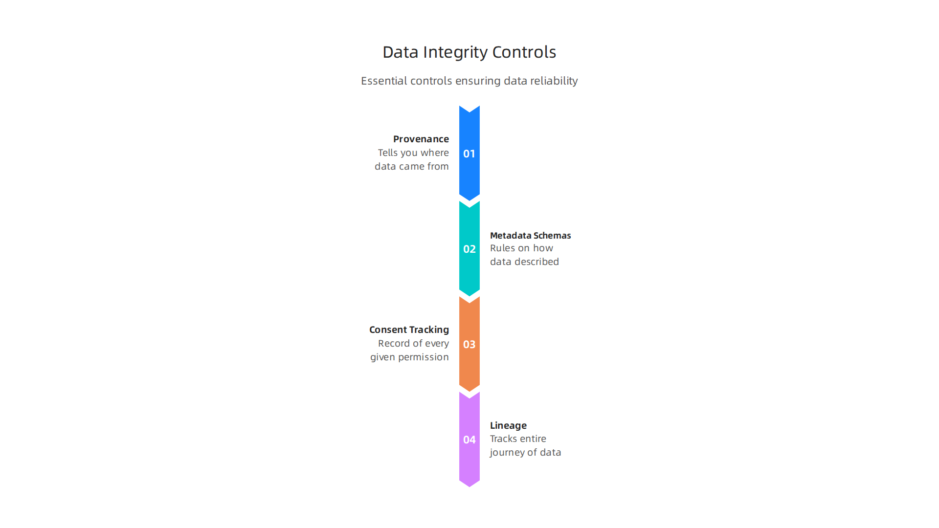 Essential controls ensuring data accuracy and reliability within a platform.