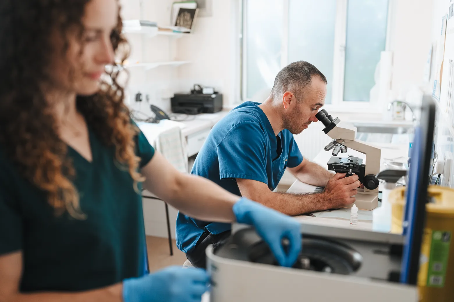 Diagnostic testing being carried out at Bowbridge Vets