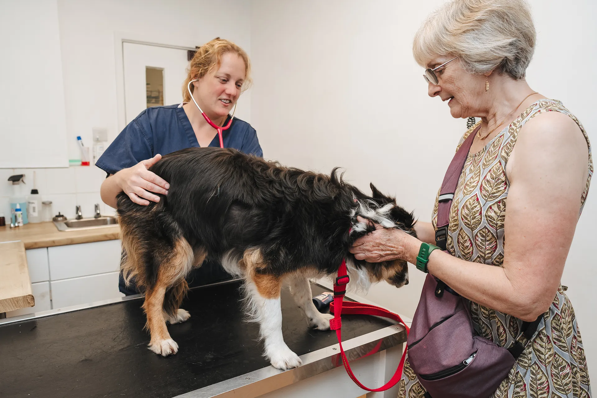 Veterinarian with stethoscope examining a black and brown dog on a table as owner comforts the dog.