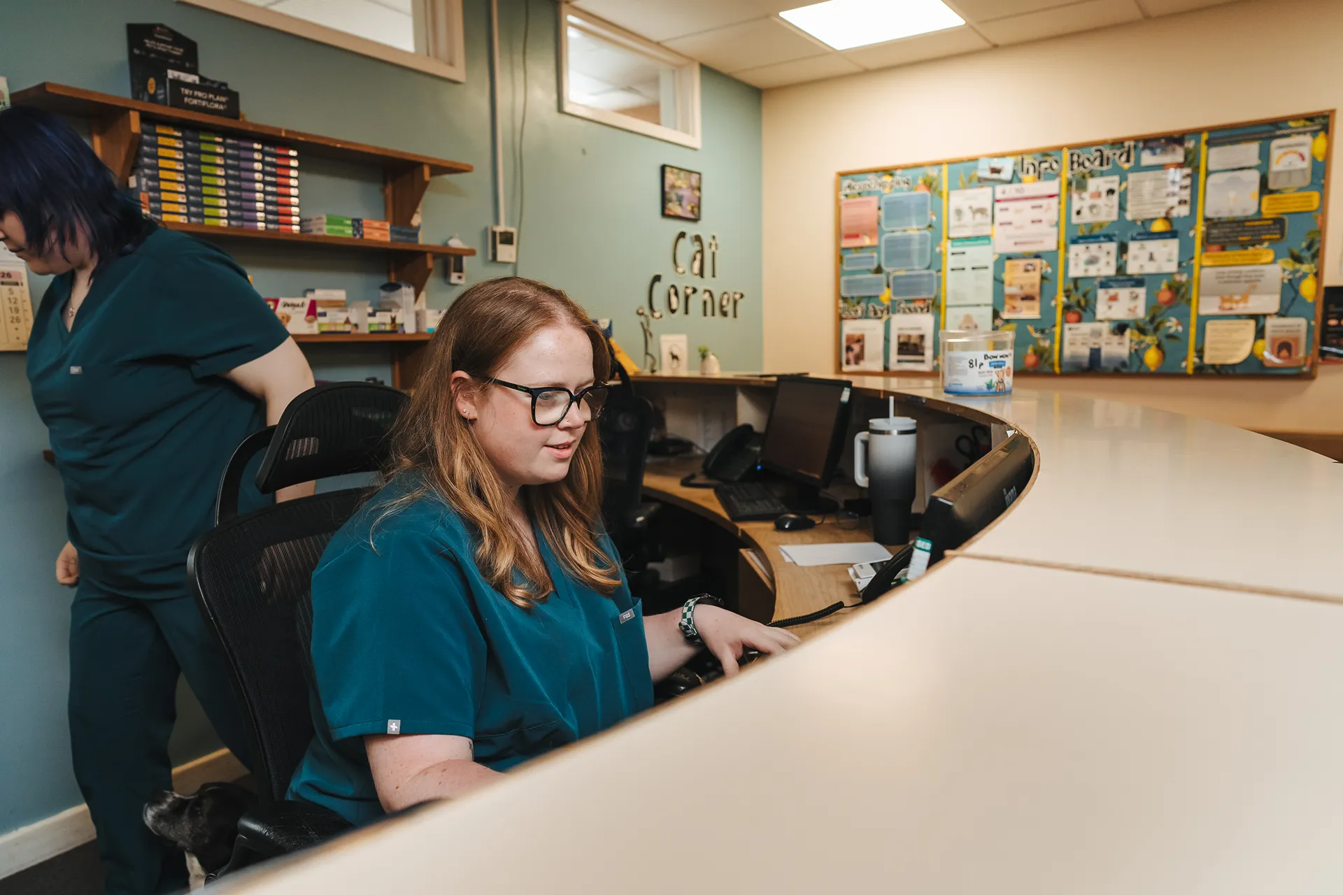 The reception desk at Bowbridge Vets