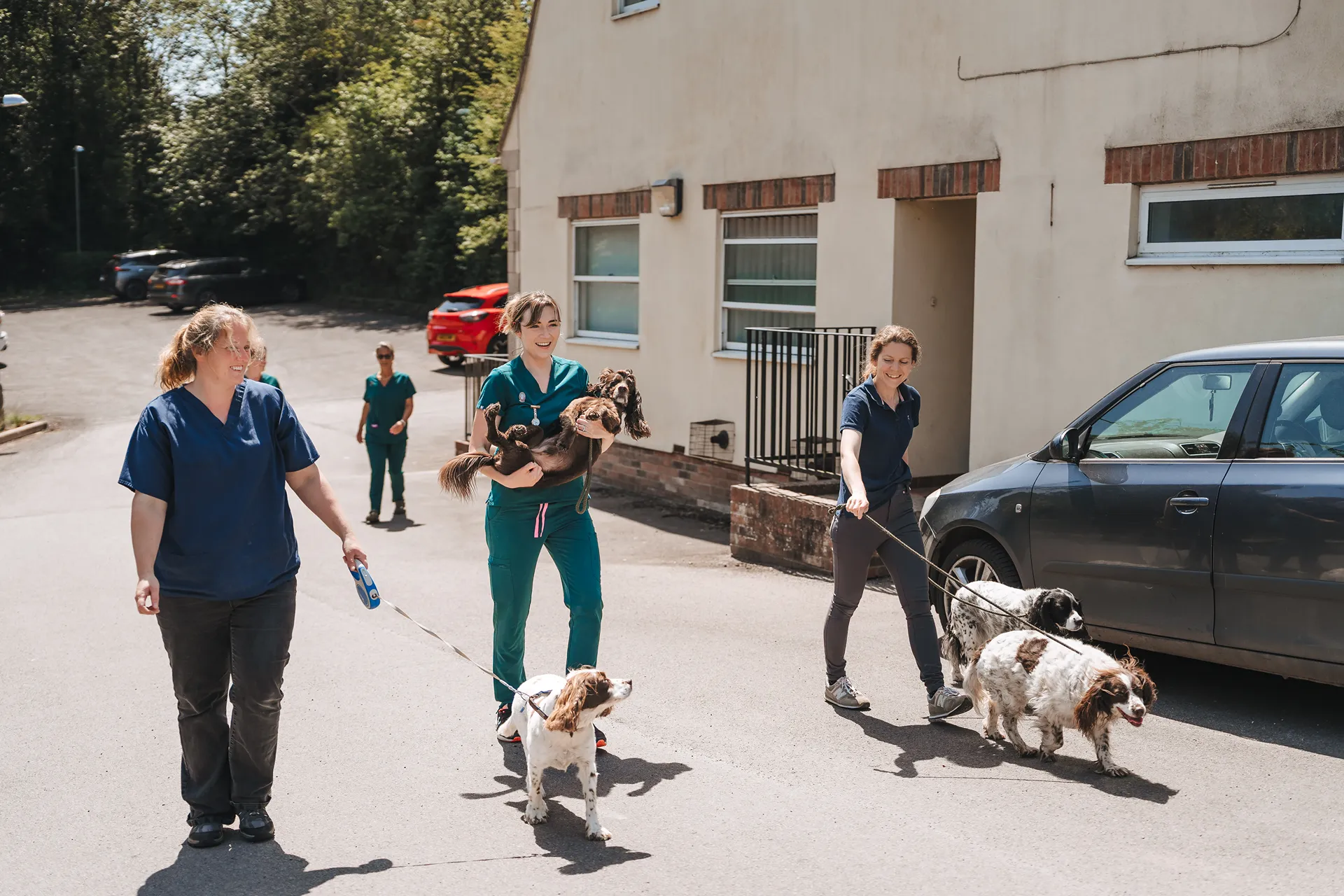 Members of the Bowbridge Vets team walking outdoors