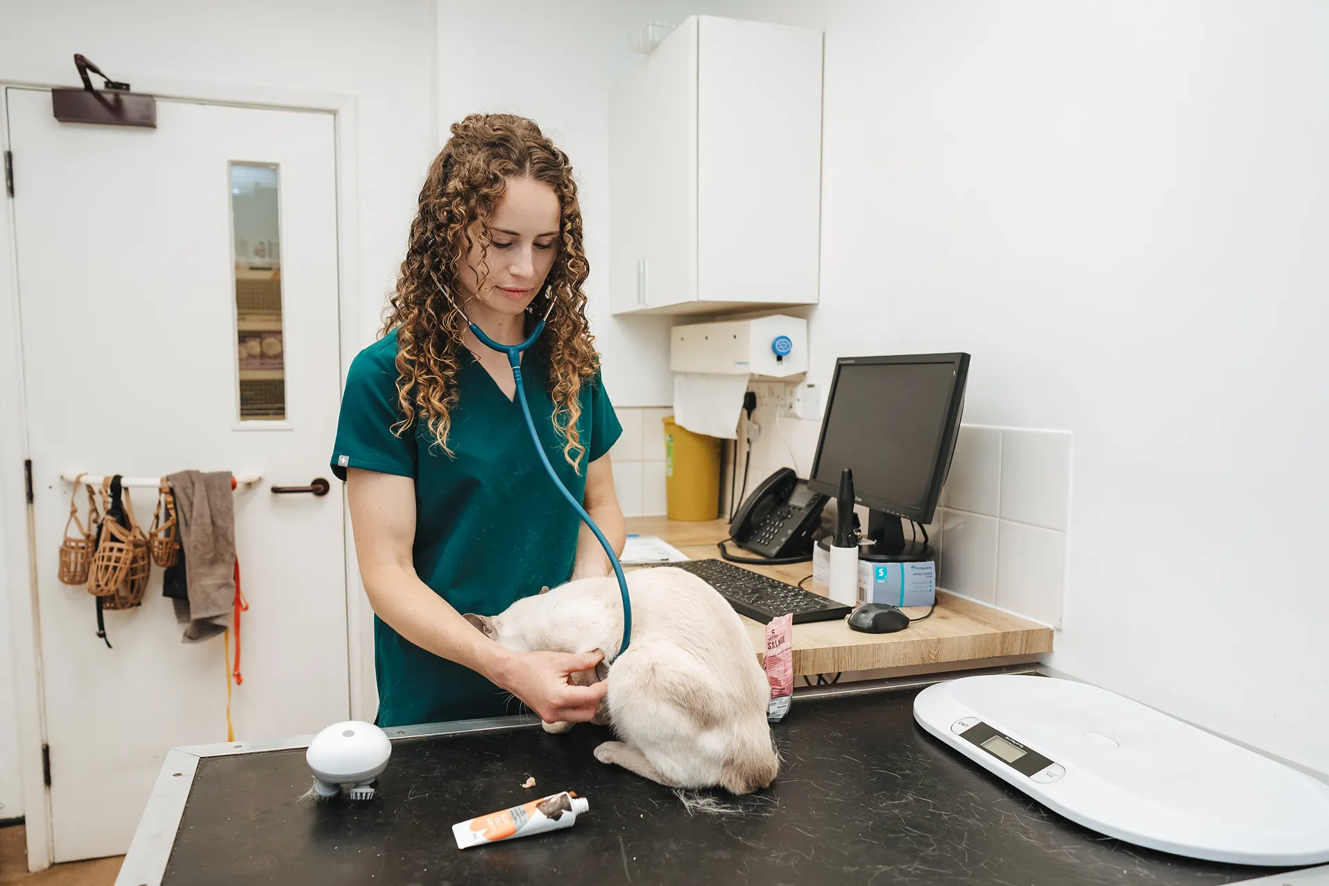 A member of the Bowbridge Vets team at work in the practice