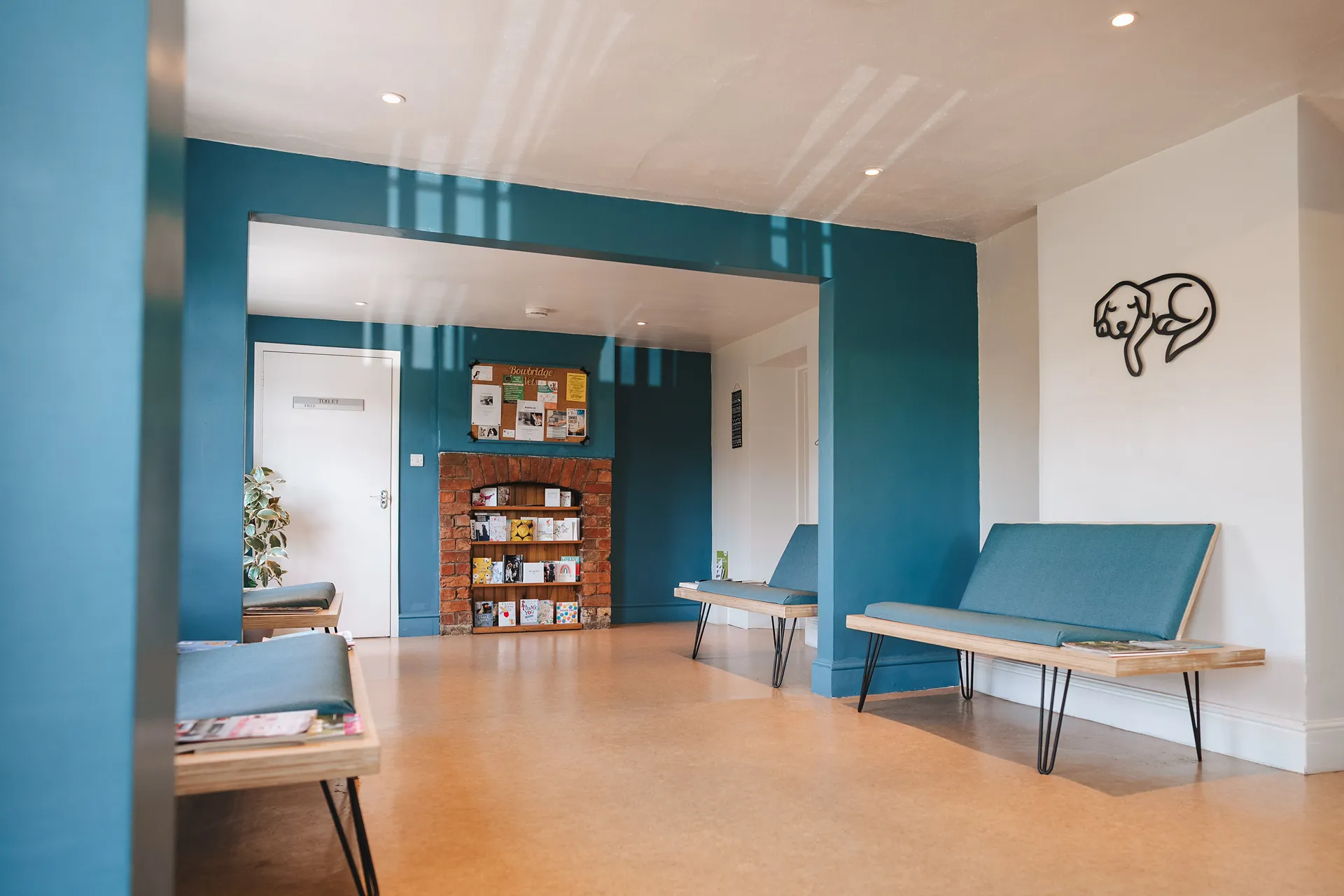 The waiting room at Bowbridge Vets