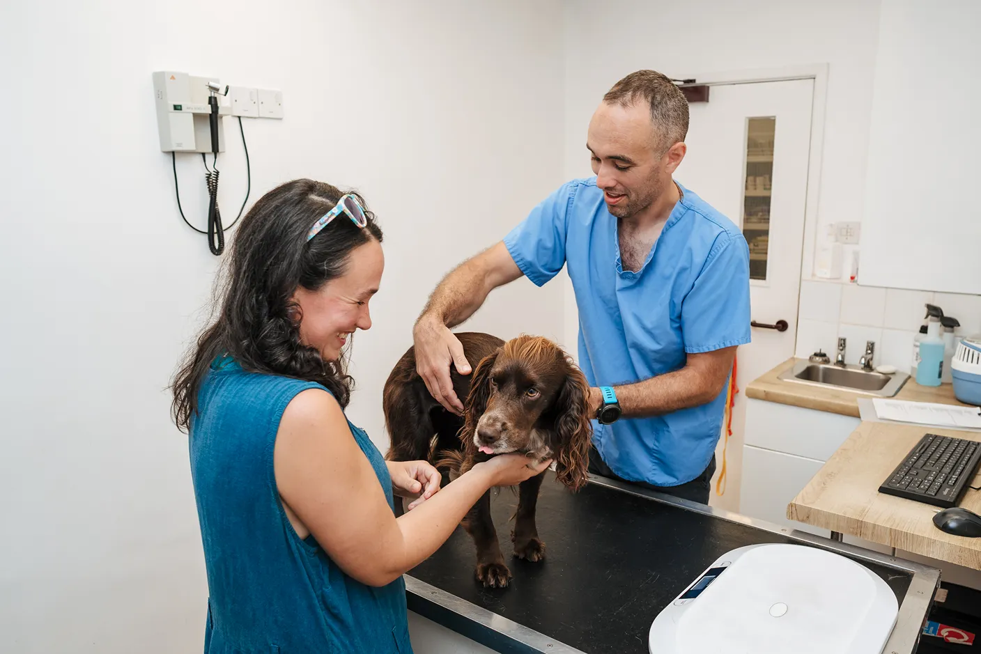 Veterinarian in blue scrubs examining brown dog on table with smiling woman supporting dog's head.