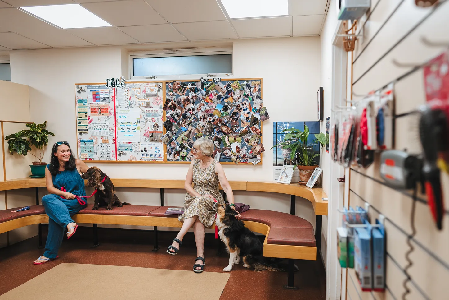 Two women sitting on a bench in a veterinary waiting room with two dogs on leashes.
