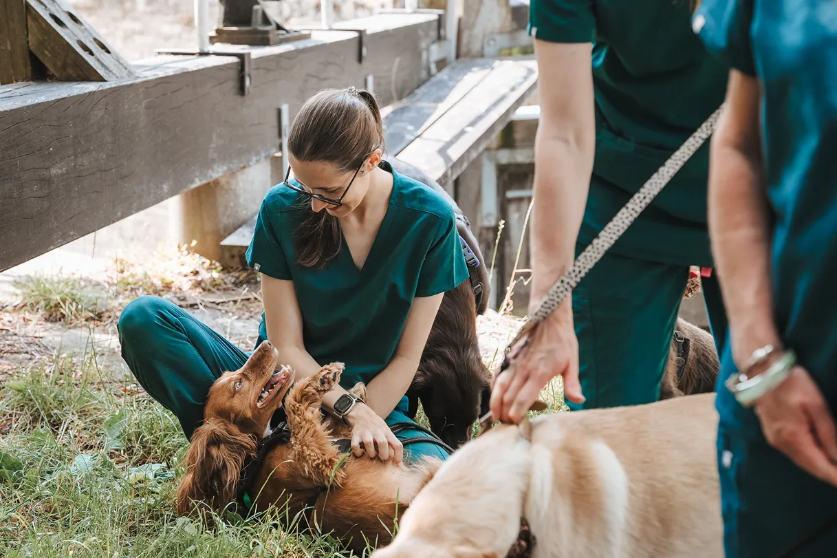 Woman in scrubs sitting on grass petting a happy brown dog lying on its back outdoors.