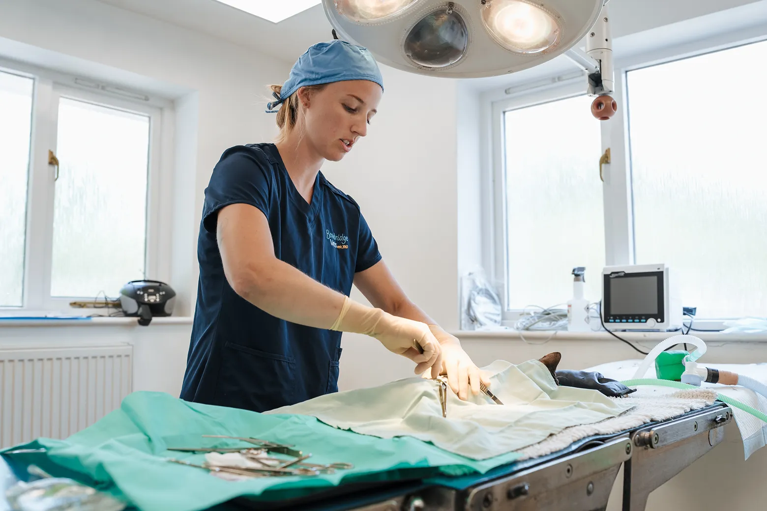 Veterinarian in blue scrubs and gloves performing surgery on a sedated dog in medical room.