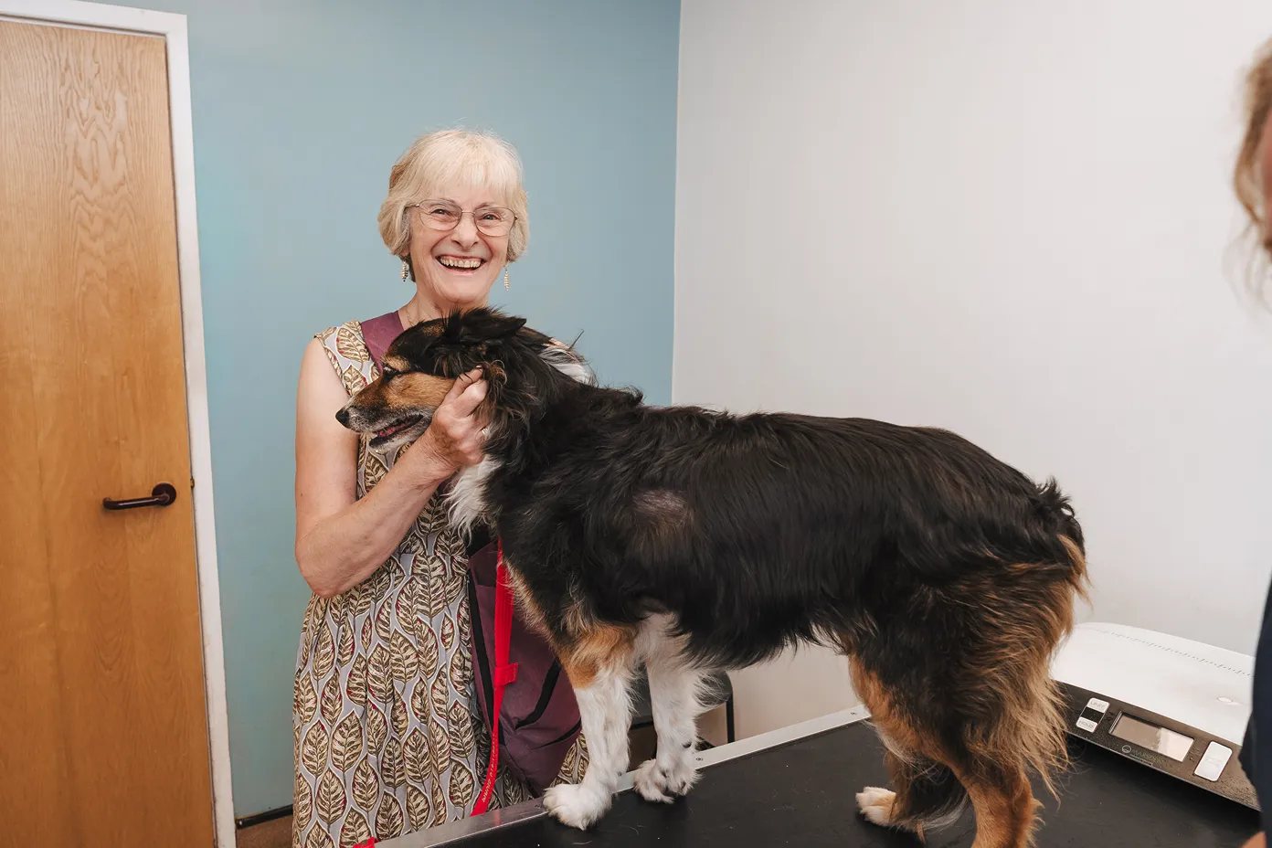 Smiling elderly woman holding a black and brown dog standing on an exam table.