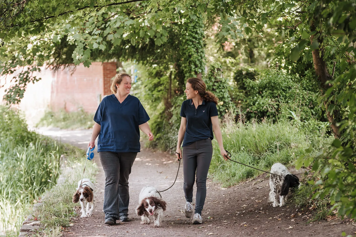 Two women walking three dogs on a tree-lined path, smiling and talking.