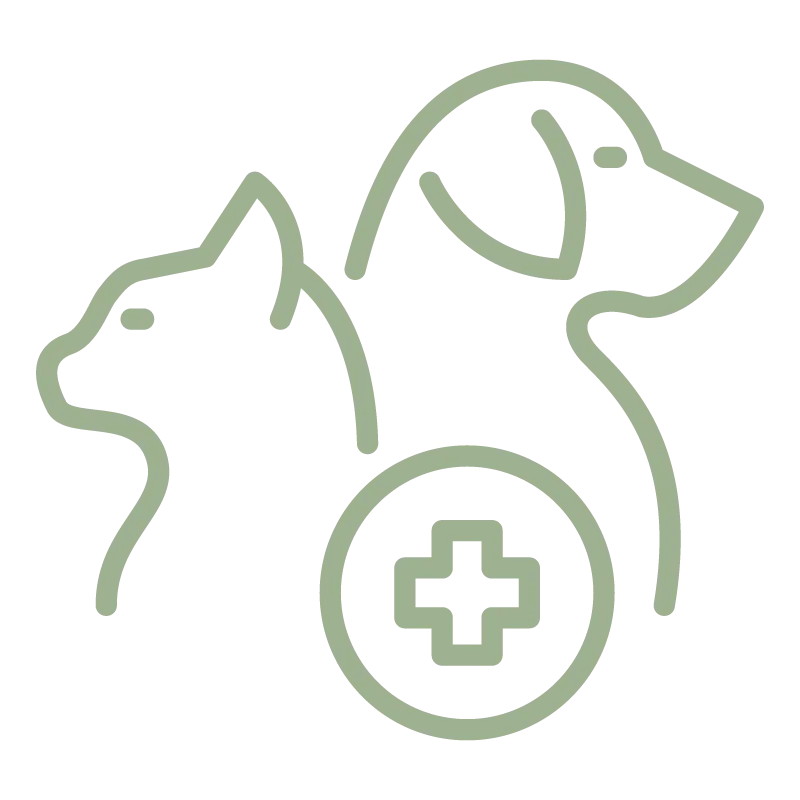 Outline of a cat and a dog with a medical cross symbol in front, representing pet health or vet care.