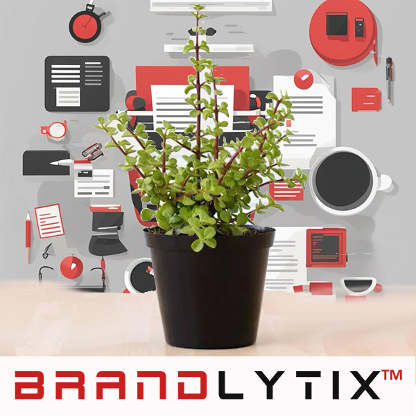 What Spekboom Can Teach Us About Digital Marketing