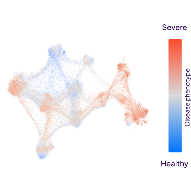 Data point network colored from blue (healthy) to red (severe) showing disease phenotype spread.