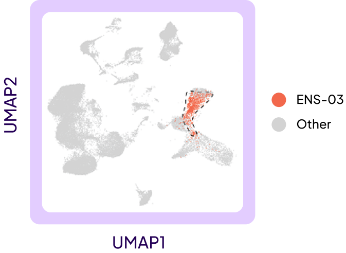UMAP scatter plot with highlighted cluster of red points amid gray points, labeled as cluster 1 and cluster 2.