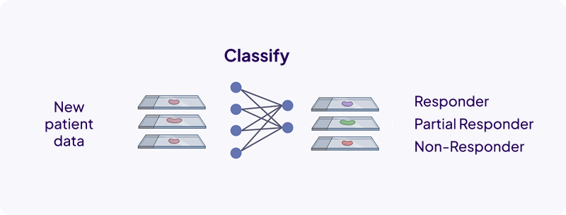 Diagram showing new patient data classified by a model into responder, partial responder, and non-responder categories.