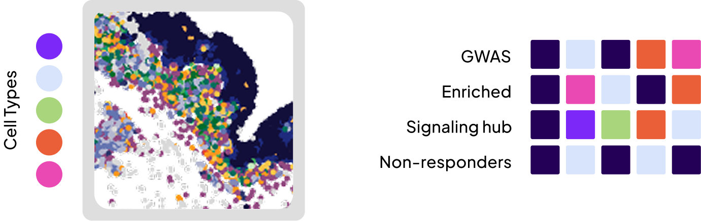 PathoSignatures figure