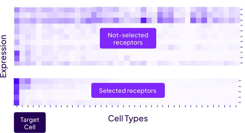 Heatmaps comparing expression of not-selected and selected receptors across various cell types and target cell.