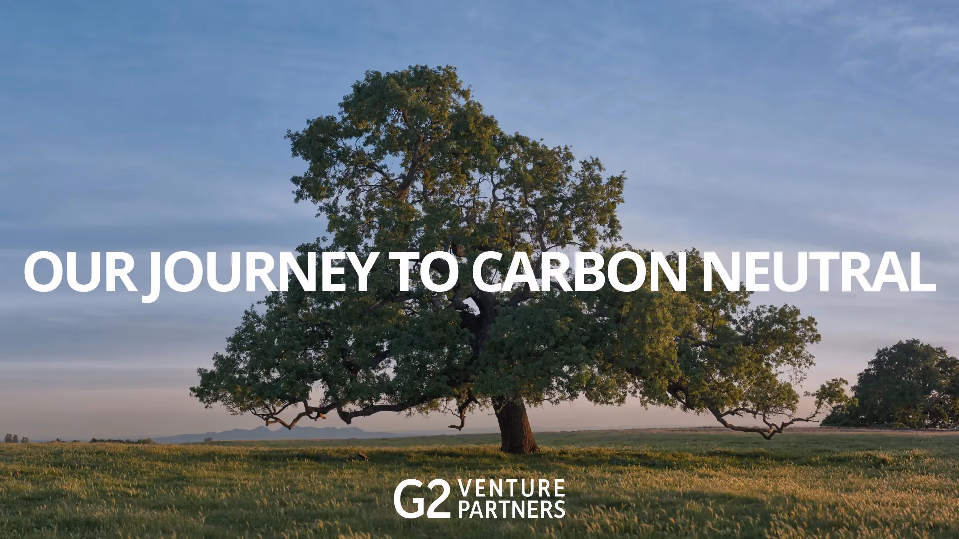 Going Carbon Neutral in 2021: Our Journey to Doe Mountain