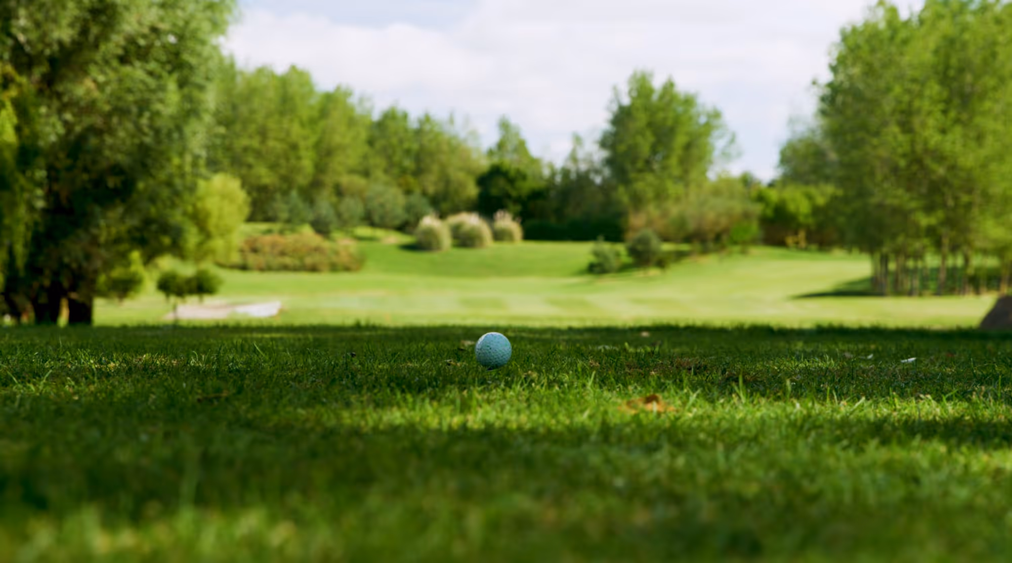a golf ball on the grass