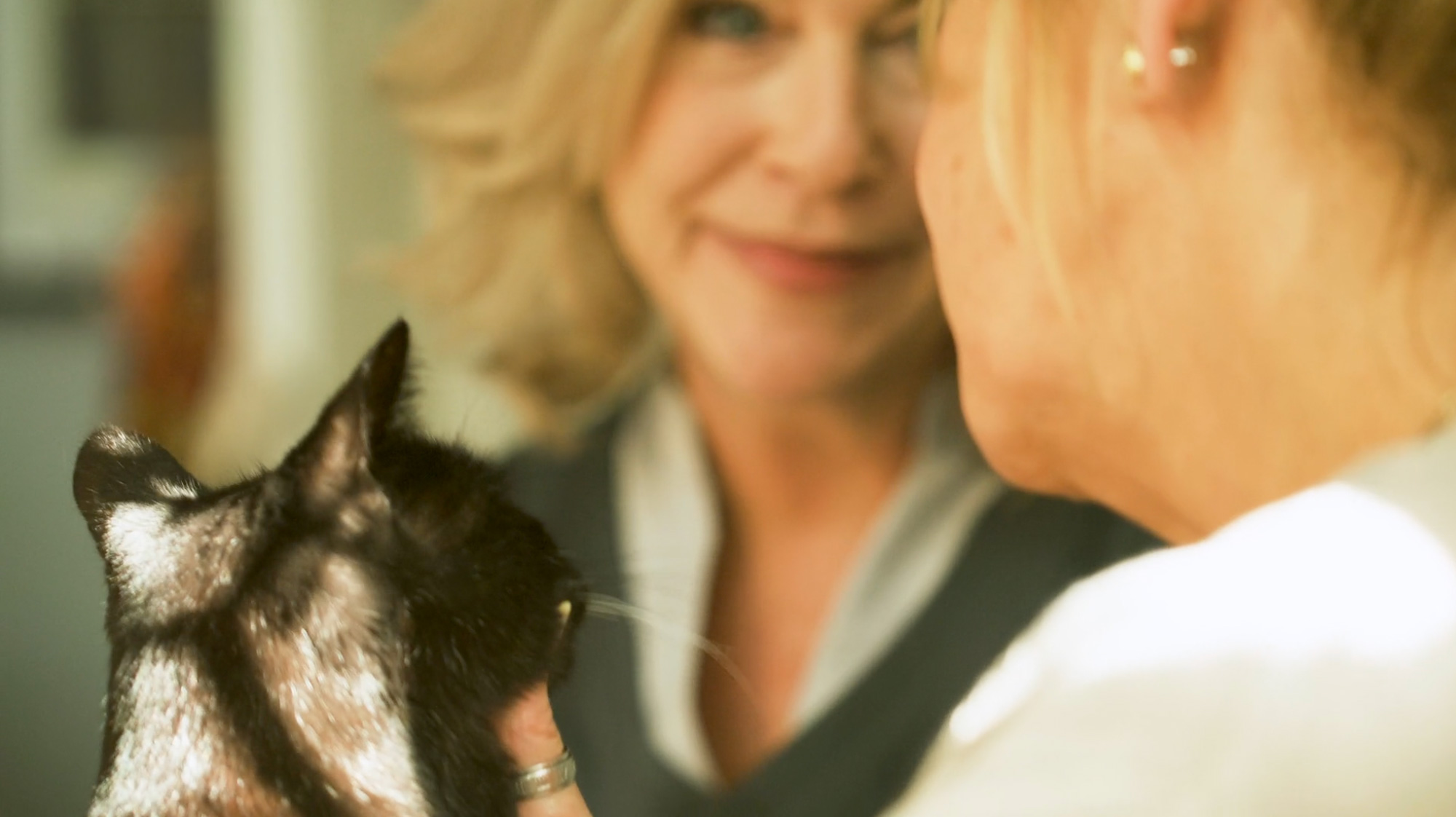 a woman holding a cat