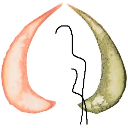 De Grote Wiede logo