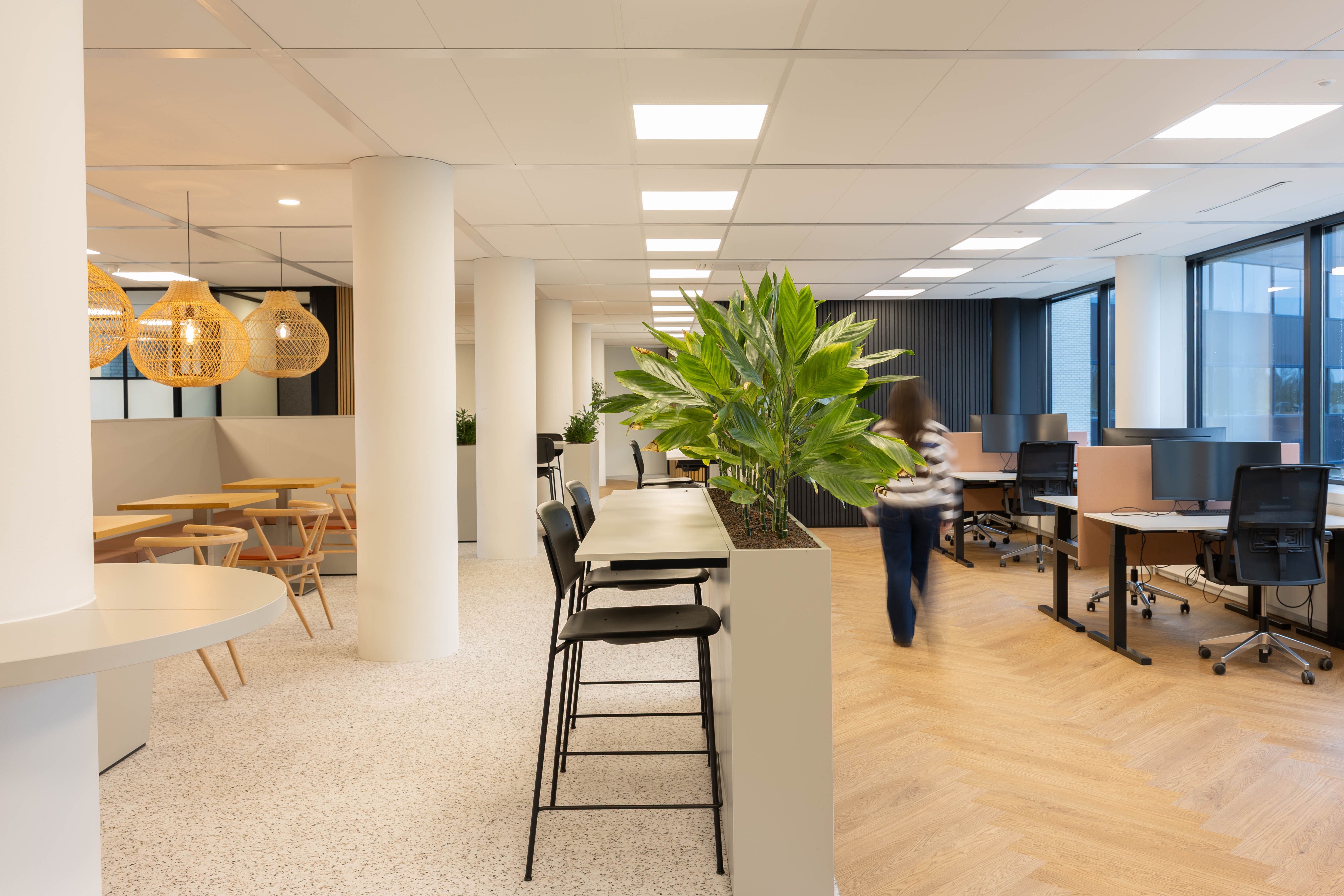 Lichte werkruimte met groen en zitplekken bij Campus Hambaken in Den Bosch
