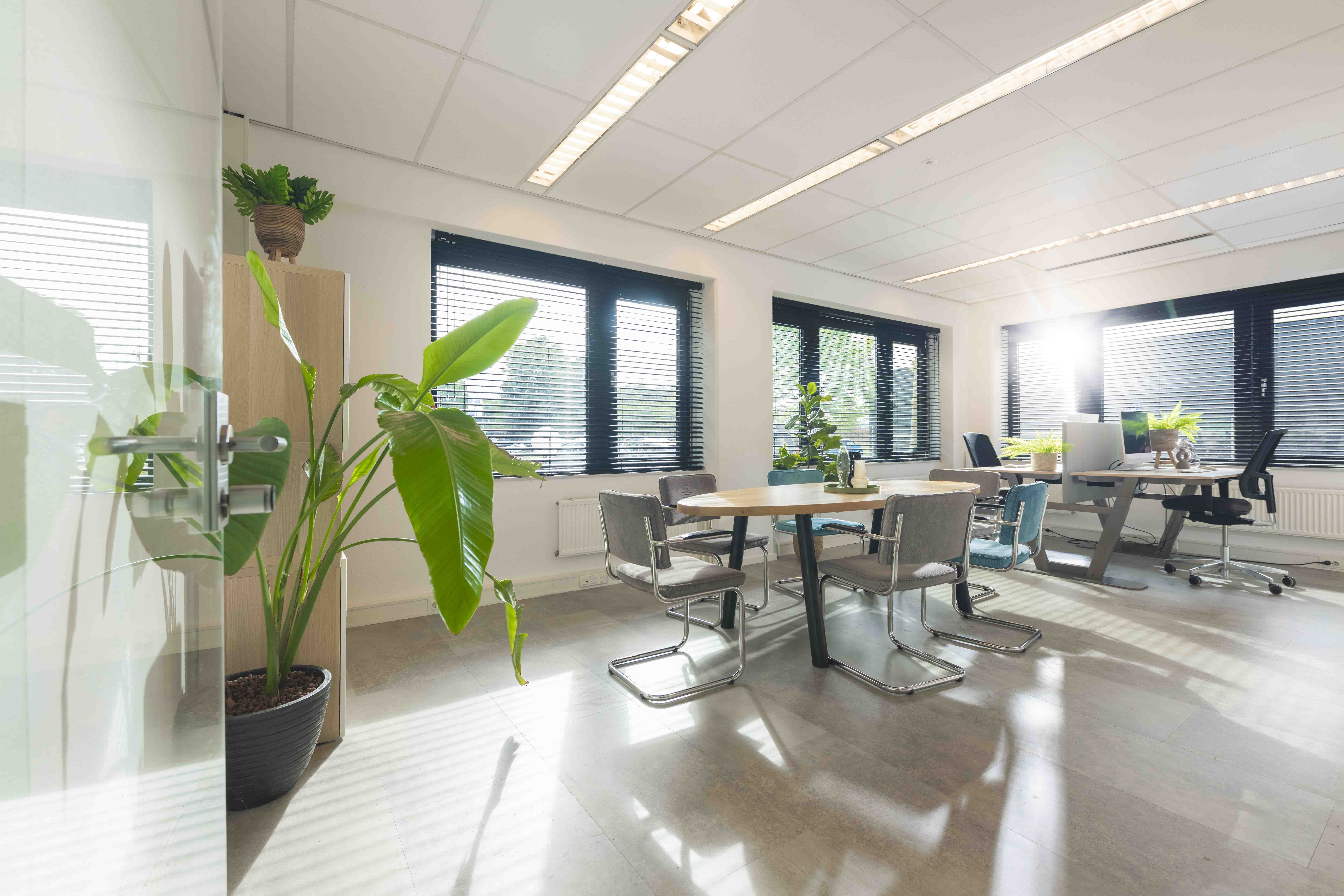 Kantoorruimte met werkplekken en veel daglicht bij Campus Dreesz in Almelo
