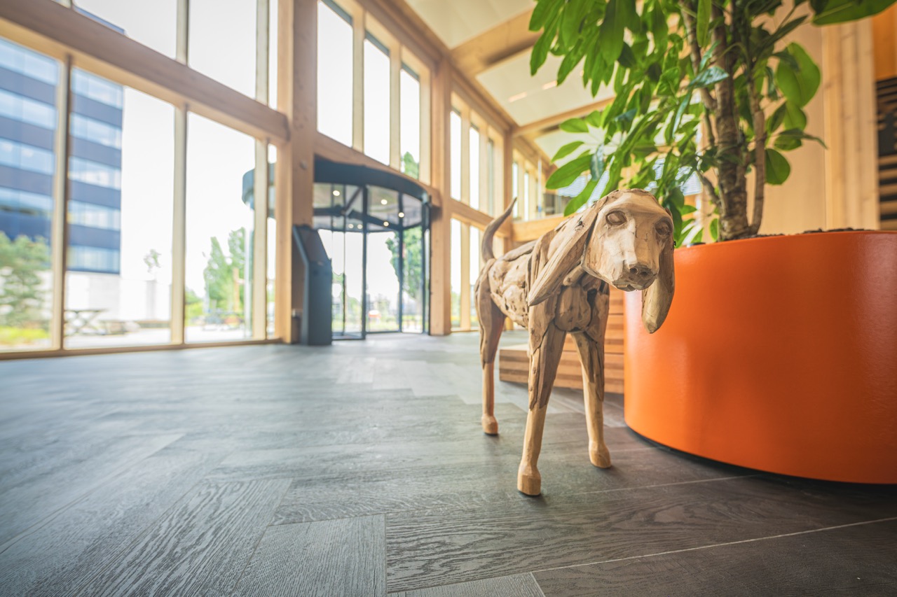Houten hond in de lichte entree van Campus Hambaken Timber in Den Bosch