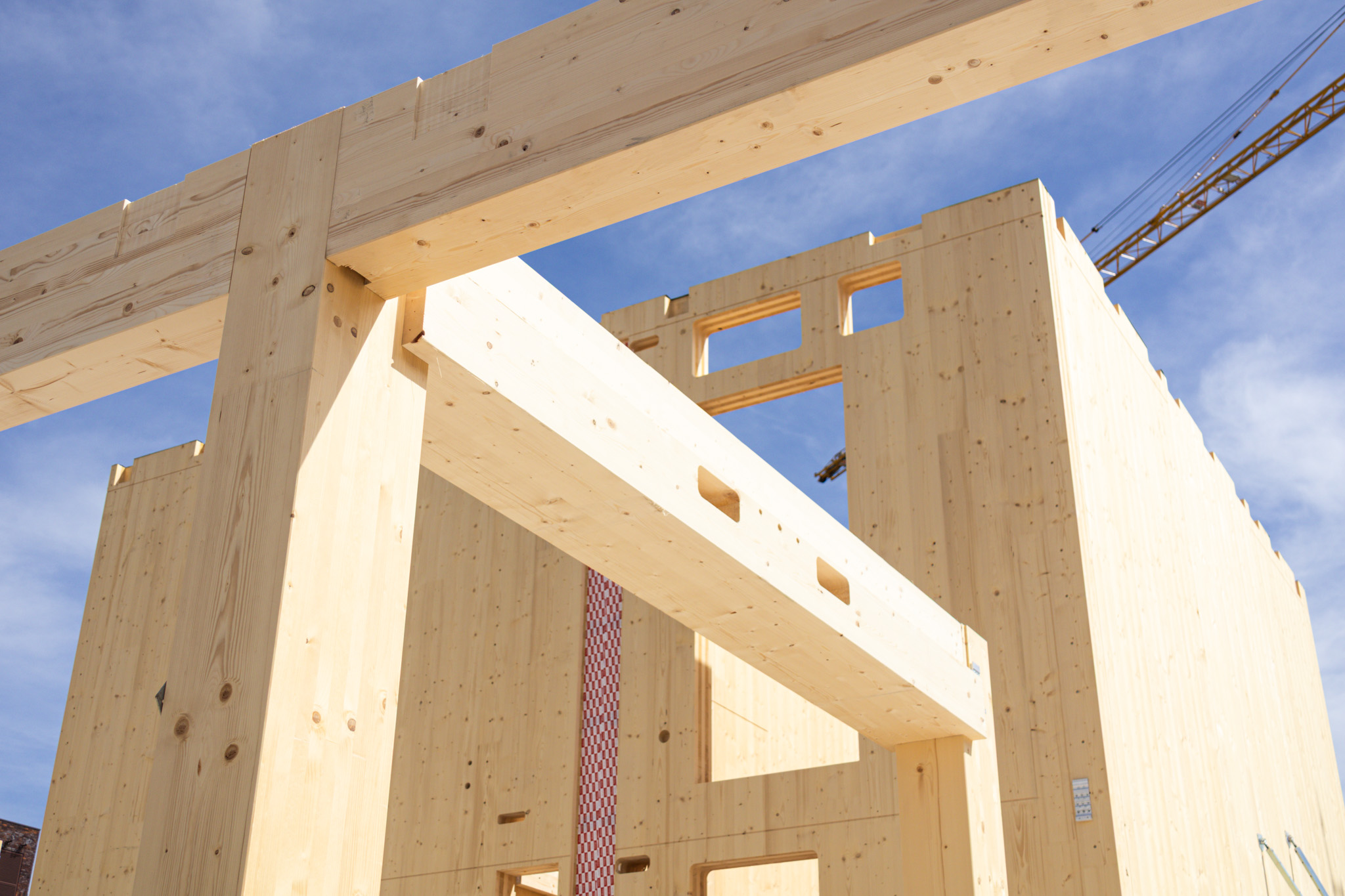 Houten draagconstructie tijdens de bouw van Campus CeeCee Timber in Enschede