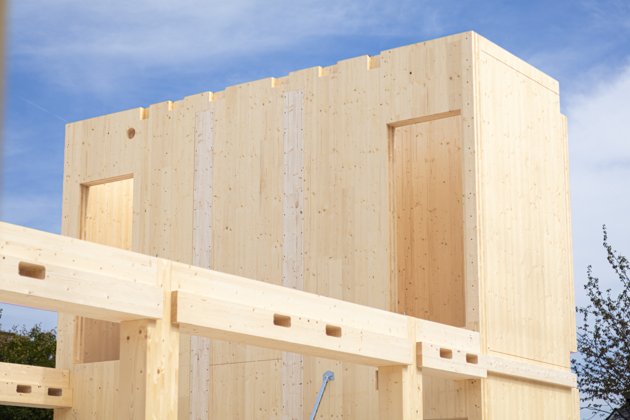 Houten bouwconstructie van Campus CeeCee Timber tegen blauwe lucht