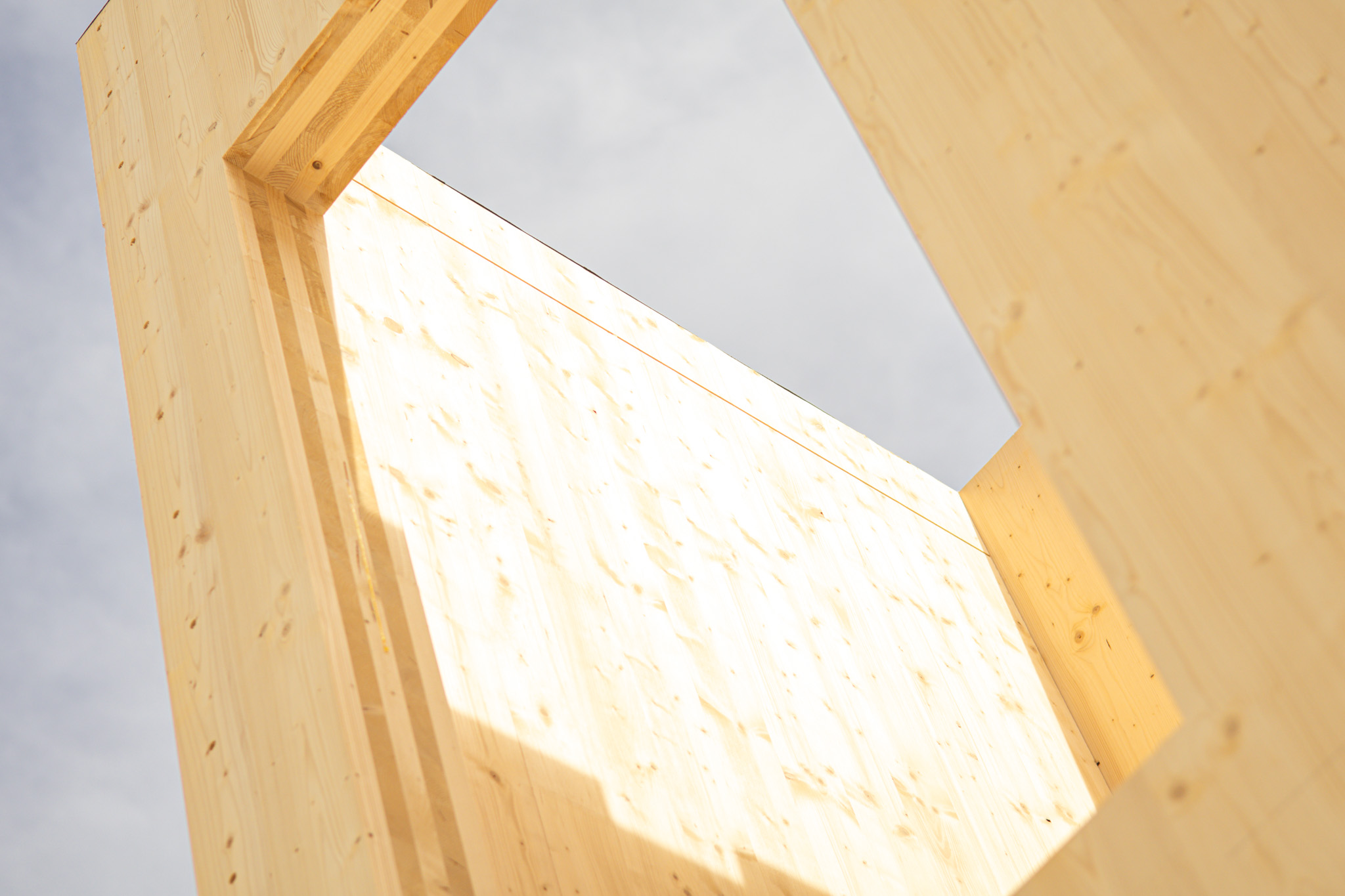 Houten raamwerk tijdens de bouw van Campus CeeCee Timber