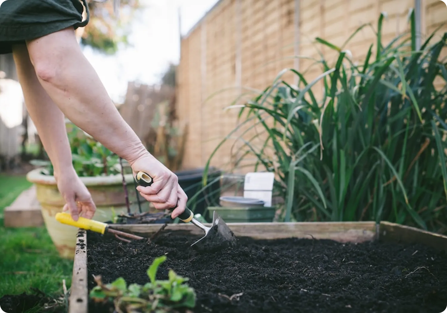 Person using hand trowel and fork to dig soil in a raised garden bed.